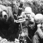 El café de la historia - Wojtek el oso soldado