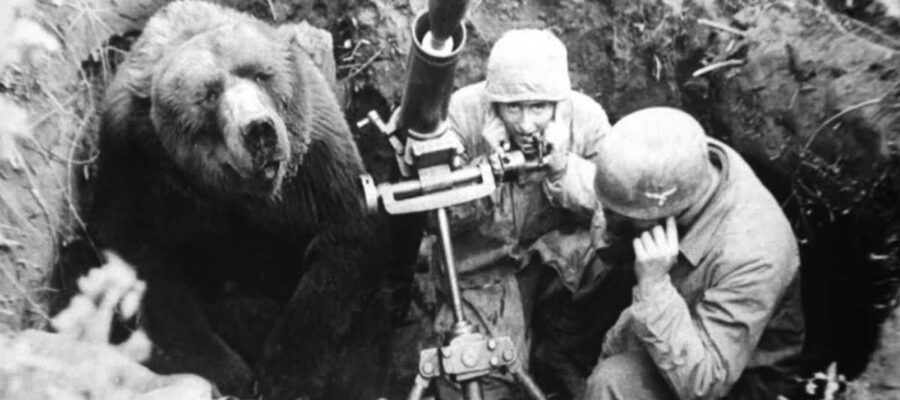 El café de la historia - Wojtek el oso soldado