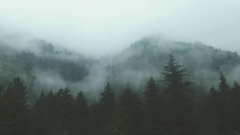 El café de la historia - Refranes sobre la niebla