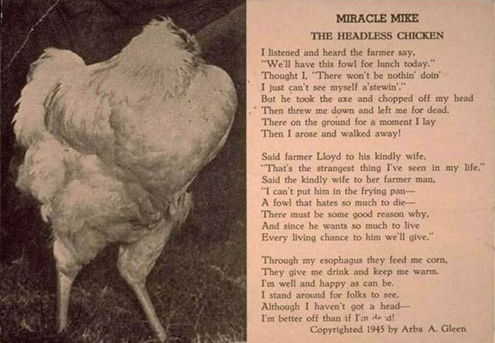 Poema pop para Miracle Mike